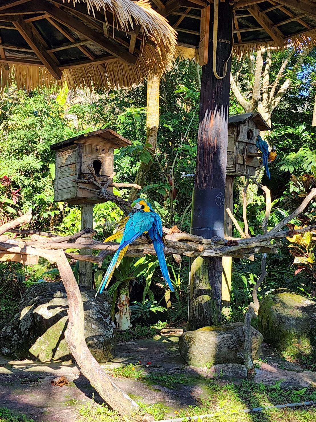 (P10-14)照片4.jpg